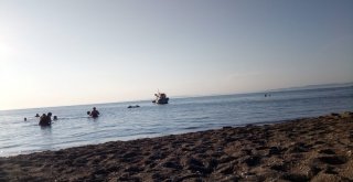 Çanakkalede Korkutan Deniz Canlısı