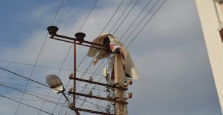 Evin Balkonundan Uçan Halı Elektrik Tellerinin Üzerine Düştü