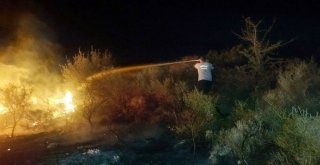 Milasta Makilik Alanda Yangın