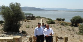 Bafa Gölü Tabiat Parkı Ziyaretçilerini Büyülüyor