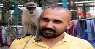 Adıgüzel, Maymununa 1,5 Ay Sonra Kavuştu