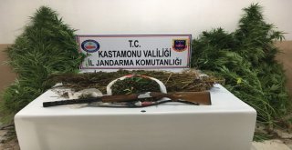 Jandarma Ekiplerinden Bayram Öncesi Uyuşturucu Operasyonu