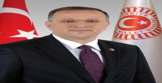 Milletvekili Ofisi, Proje Ofisi Oldu