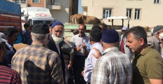 Kurban Pazarında İlginç Pazarlık Görüntüleri