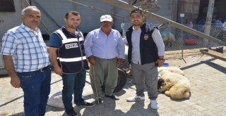 Besnide Polis Vatandaşları Dolandırıcılığa Karşı Uyardı