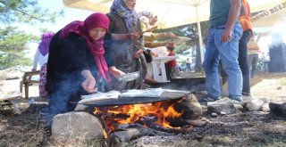 Dereyalak Mercimeği Hasattan Önce Bitiyor